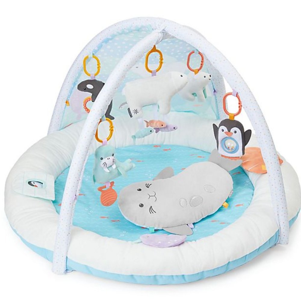 carter's My Arctic Friends Play Gym